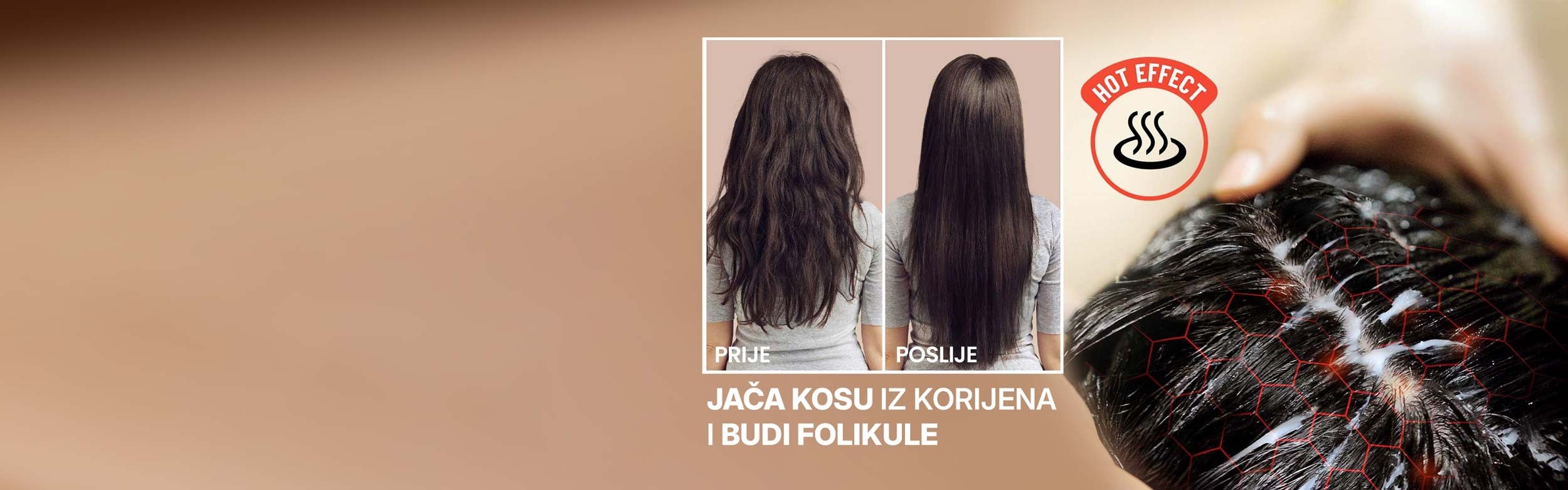 Moringa-maska-sekcija-1--BIH